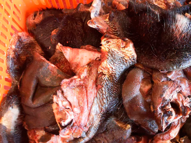 говяжий натуральный корм для собак