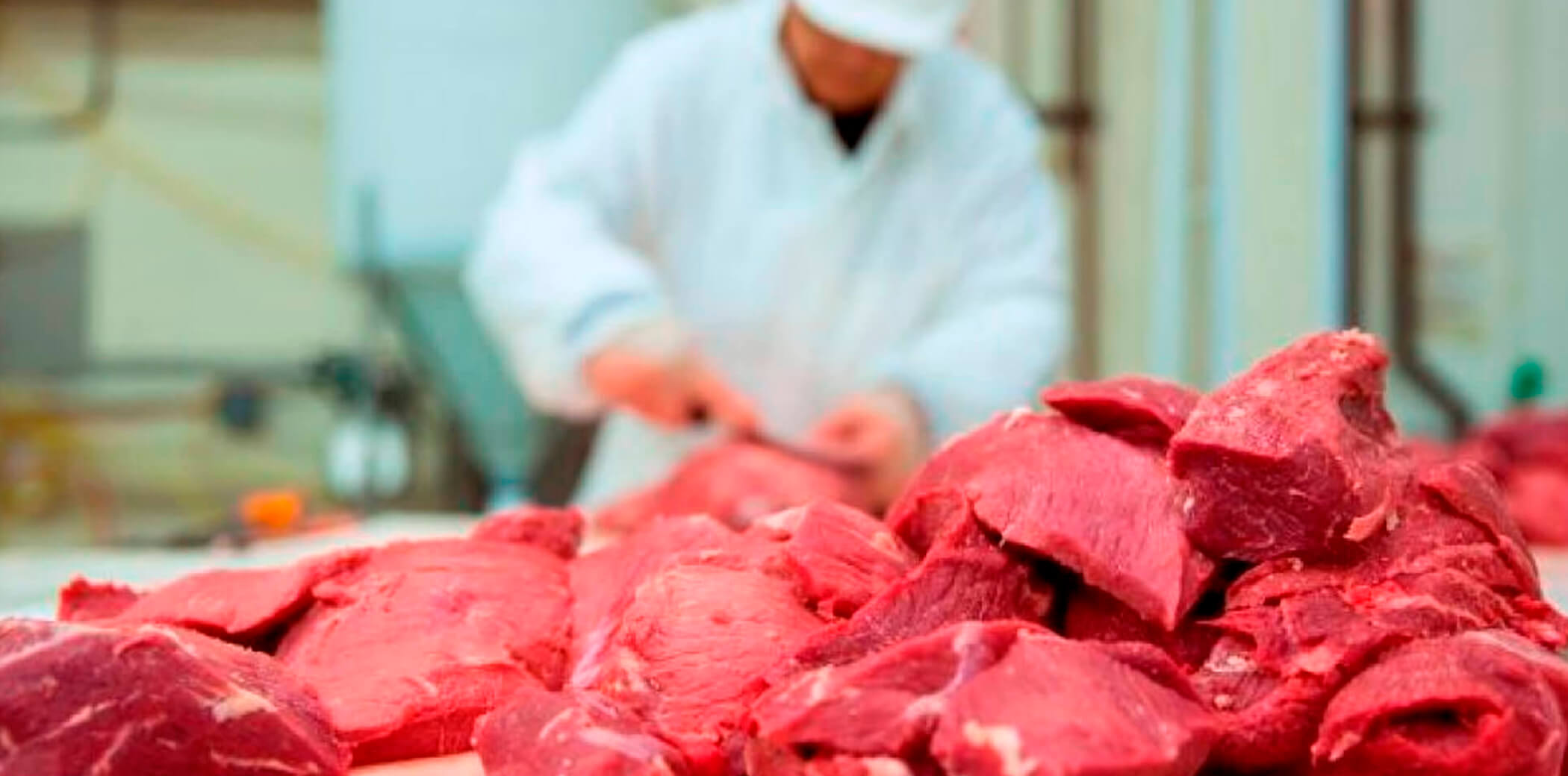 Натуральный корм для собак