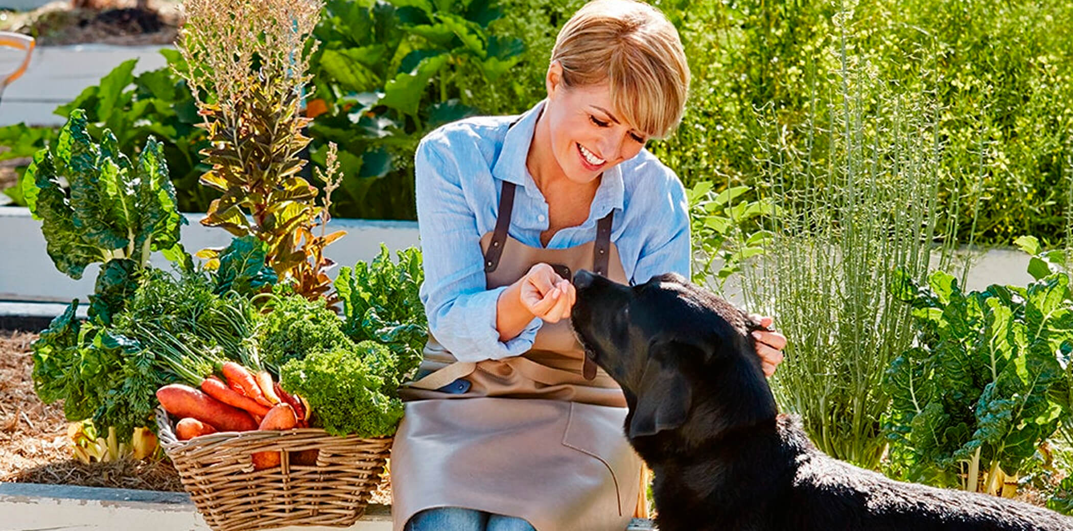 Натуральный корм для собак